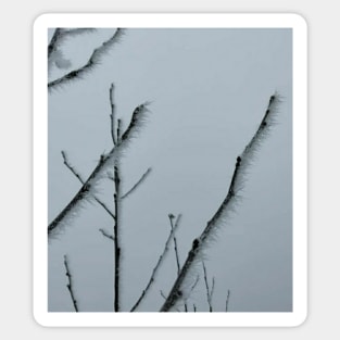 Frozen tree Sticker